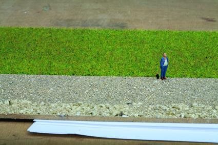 Noch 07072 Grasmischung, Sommerwiese, 2,5 - 6 mm, 50 gr