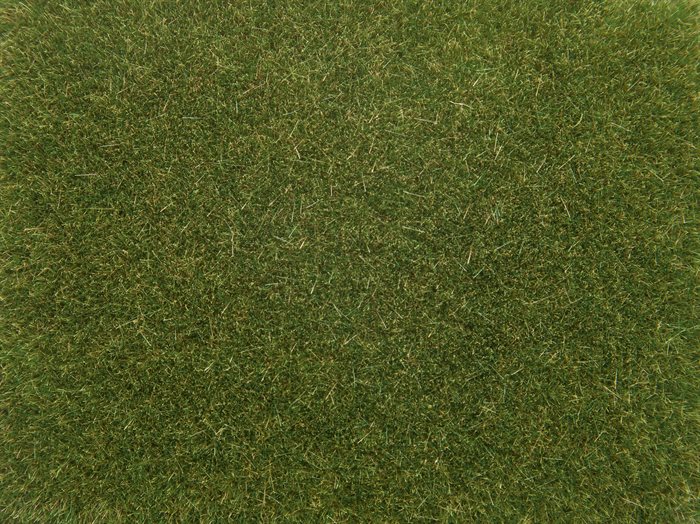 Noch 08364 Streugras, mittelgrün, 4 mm, 20 gr,