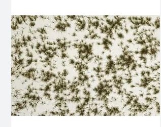 Busch 1317 Matte mit Schneelandschaft, 297 x 210 mm