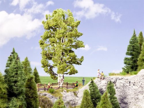 Noch 21641 Doppelstämmige Birke 19 cm hoch, H0