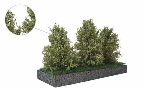 MBR 50-4016 Hohe Büsche, weiß blühend, 7-11 cm, 3 Stück