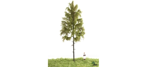 mbr 51-4302 Europäischer Waldboden, 18-22 cm