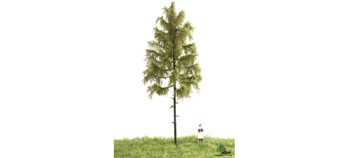 mbr 51-4302 Europäischer Waldboden, 18-22 cm