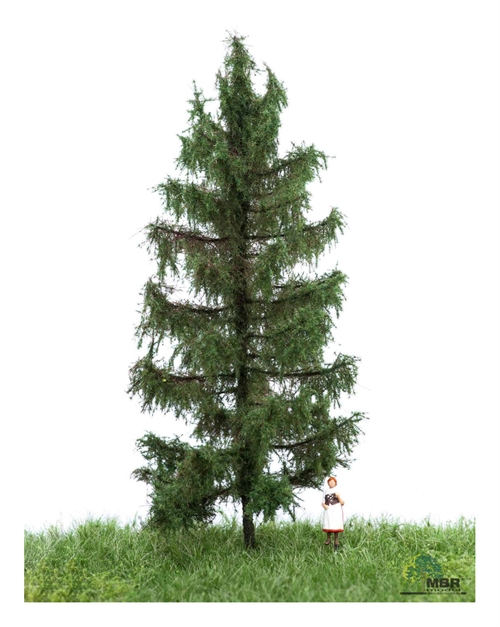 MBR 51-4206 Fichtenholz, Sommer, 12-16 cm