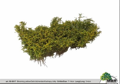 MBR 50-5017 Strauch, Blüte gelb