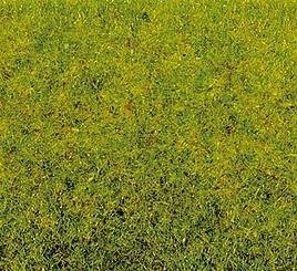 Noch 50210 Gras, Frühlingswiese, 100 gr