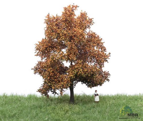 mbr 52-2202 Birke, 12-16 cm, Herbst