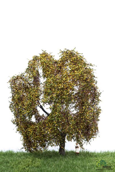 MBR 52-2309 Weidenbaum, Herbst, Höhe 18-22 cm