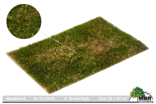 MBR 55-0008 Grasmatte, Wiese, 4-8 mm, Größe 20 x 30 cm
