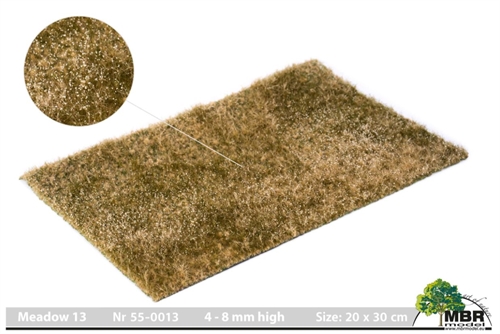 MBR 55-0013 Grasmatte, Wiese, 4-8 mm, Größe 20 x 30 cm