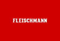 Fleischmann spur N