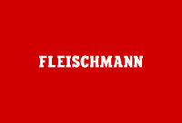 Fleischmann Spur N