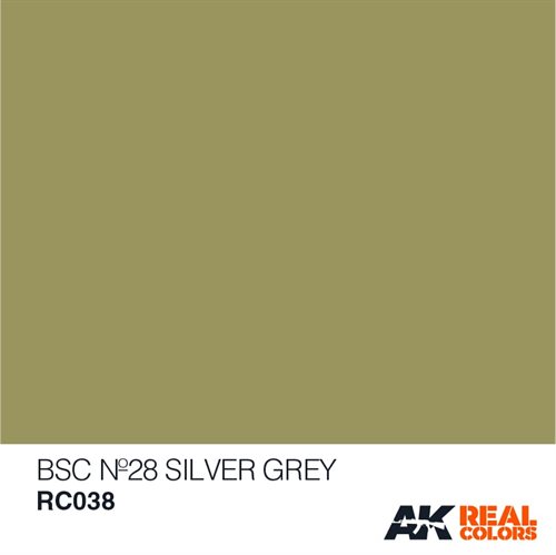 AKRC038 BSC Nº28 SILBER-GRAU, 10 ML