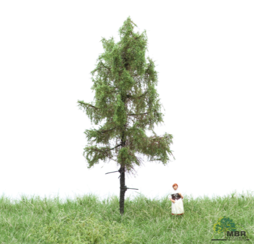 mbr 51-4202 Waldlärche, 12-16 cm