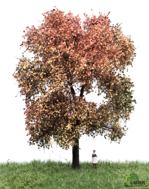 mbr 52-2312 Ahornbaum, 18-22 cm, Herbst