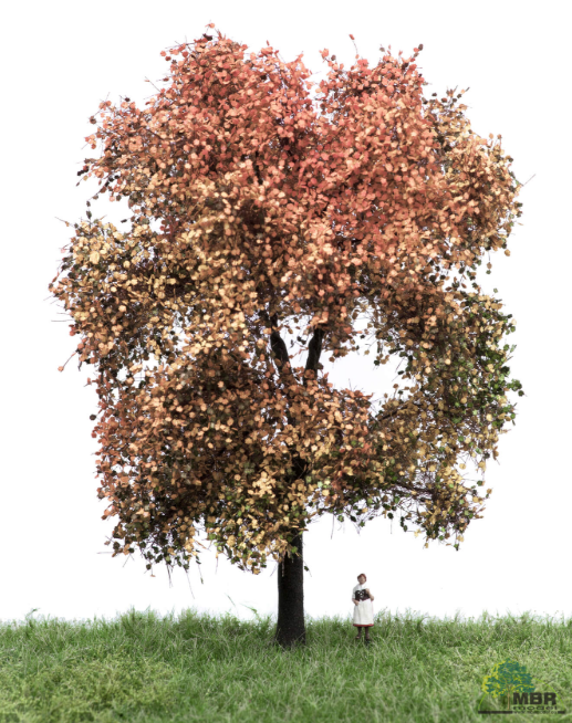 mbr 52-2312 Ahornbaum, 18-22 cm, Herbst