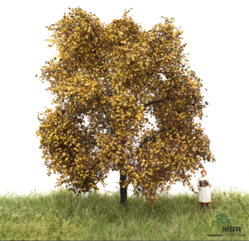 mbr 52-2103 Eiche, 6-10 cm, Herbst