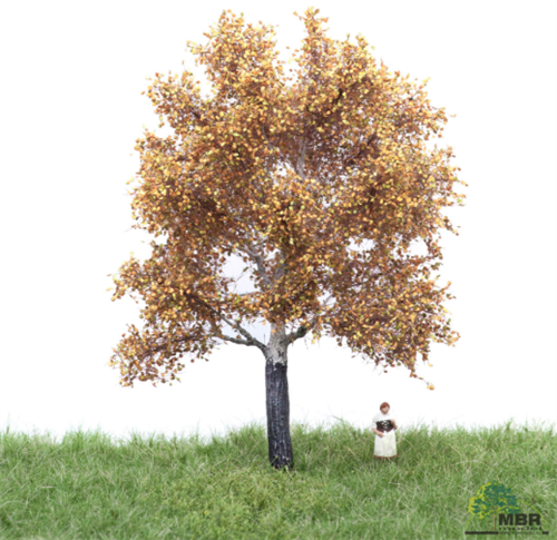 mbr 52-2205 Silberpappel, 12-16 cm, Herbst